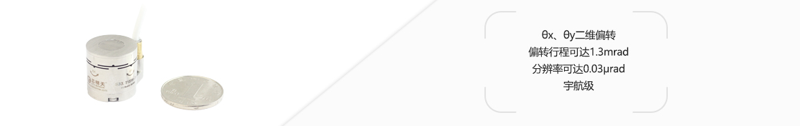 S33.T1SYH 压电偏转镜